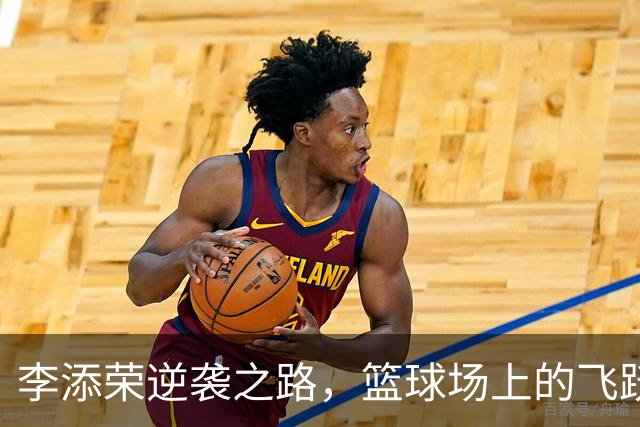 李添荣逆袭之路，篮球场上的飞跃与暴扣